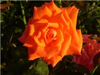 314e0fa1-Picture 3128.jpg